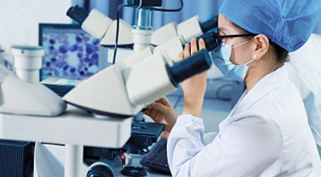 硒化锌基本性能